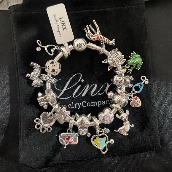Linx Snake Chain Bracelet with Veterinarian and Animal Themed Charms